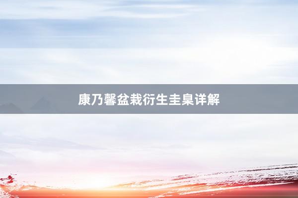 康乃馨盆栽衍生圭臬详解